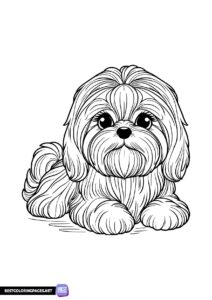 Shih tzu coloring pages dogs