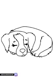 Sleeping dog colouring pages
