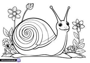 Snail coloring page. Spring coloring page.