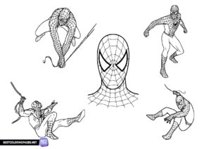 Spiderman coloring page for kids