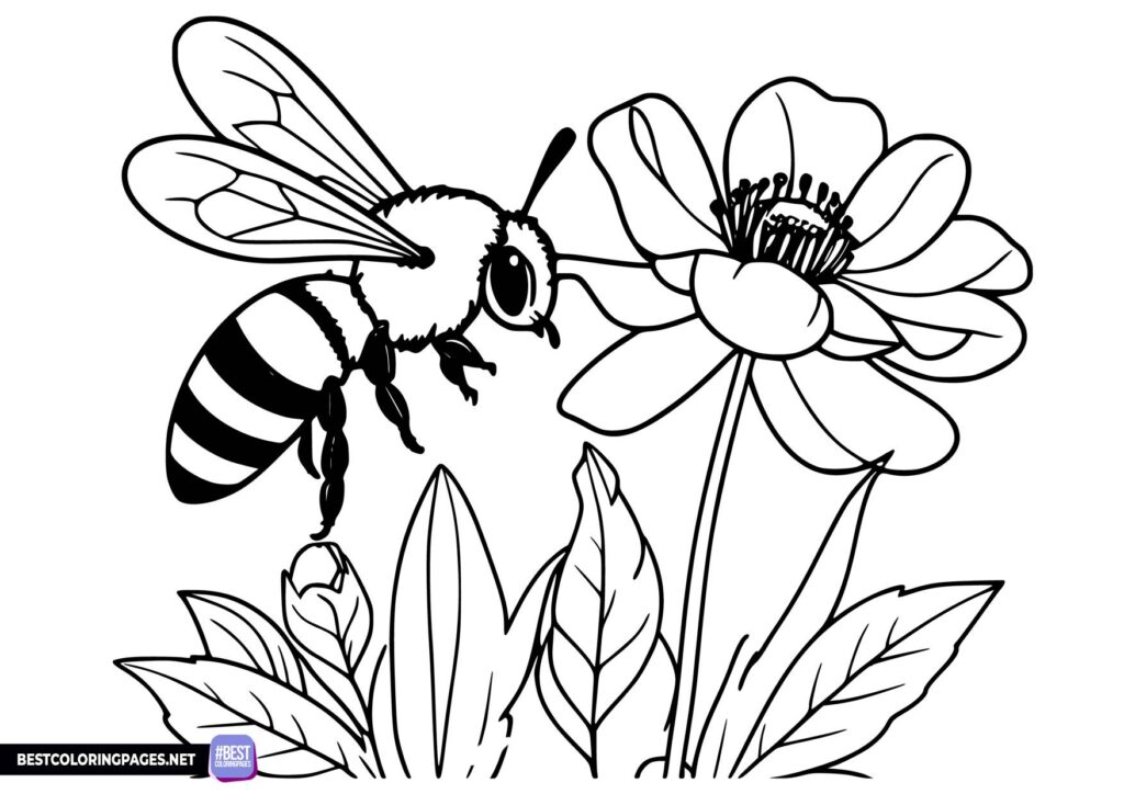 Spring coloring pages