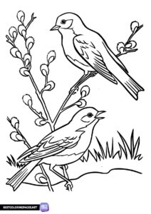 Spring coloring pages - birds