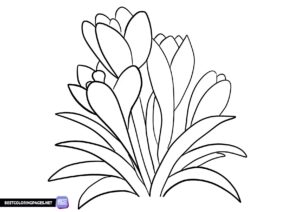 Spring colouring pages to print