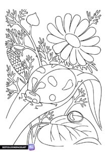 Spring colouring sheets