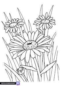 Spring flowers coloring page