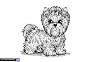 York dog coloring page