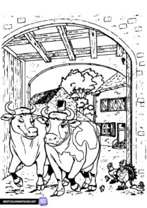 Cows coloring page in the countryside