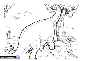 Dinosaurs coloring book for boys