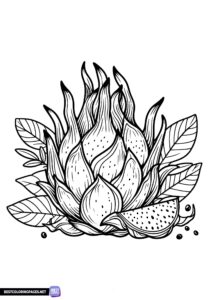 Dragon fruit coloring page
