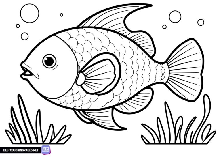 Fish coloring pages