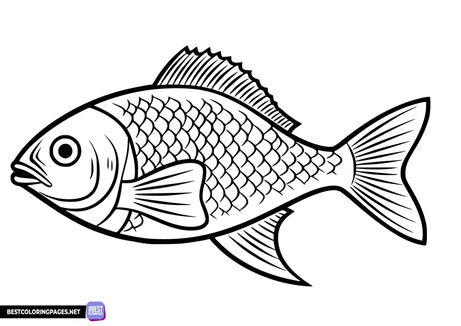 Fish picture to print - Free printable coloring pages