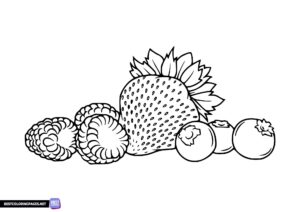 Forest fruits coloring pages