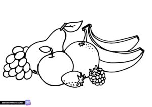Free printable fruit coloring pages