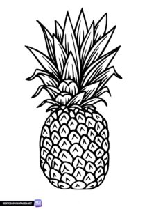 Fruit coloaring pages Pineapple