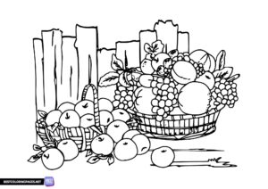 Fruits coloring page