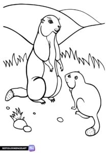 Gophers coloring pages