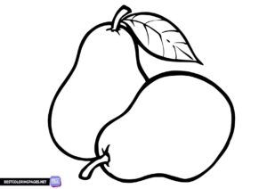 Pear coloring sheet