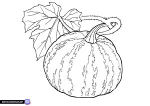 Pumpkin coloring page to print