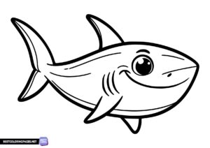 Shark coloring page