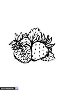 Strawberries printable coloring page