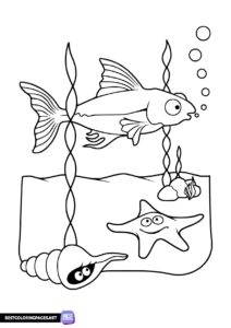 Underwater life coloring pages