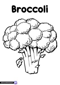 Vegetable coloring pages - broccoli