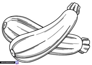 Vegetable coloring pages - zucchini